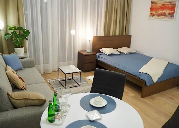 Studio Nr 4 close to Medicover&Paley Institute