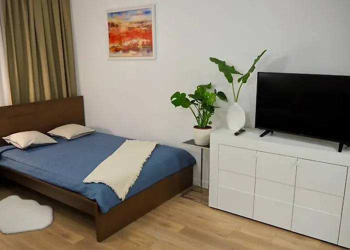 Studio Nr 4 Close To Medicover And Paley Institute